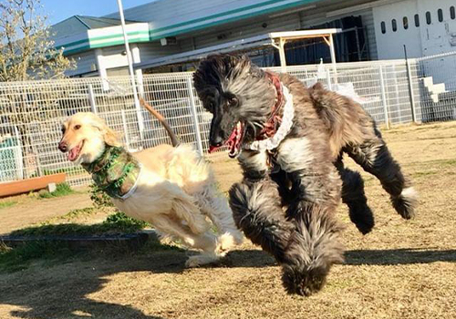代表挨拶・メッセージ